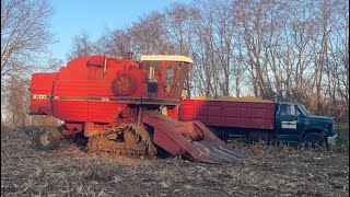 White 8700 Combine Finally Goes To Work On Her New Steel Tracks