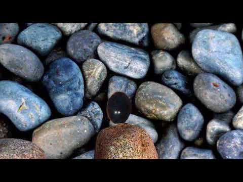 वीडियो: क्या मील का पत्थर समुद्र तट भोजन की अनुमति देता है?