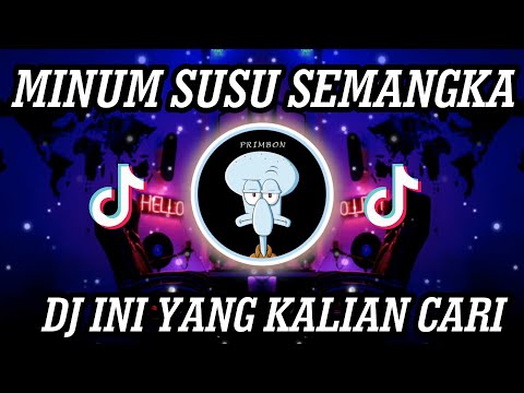 DJ MINUM SUSU SEMANGKA REMIX VIRAL TIKTOK 2023 JEDAG JEDUG