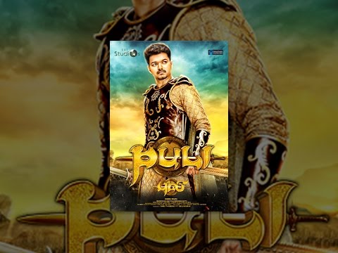 Puli