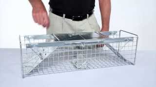 How to Set: Havahart® Medium 2-Door Trap Model #1030 for Mink, Large Squirrels & Rabbits Resimi