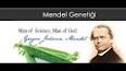 Kalıtımın Mendel Yasaları ile ilgili video