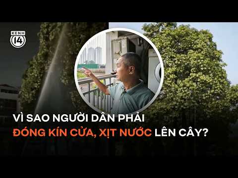 Up close: 12 milk flower trees in full bloom around a Hanoi apartment complex #Kenh14News #JJGN