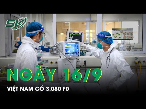 Cập Nhật Ca