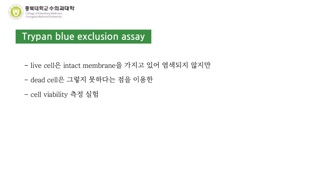 Trypan blue exclusion assay protocol