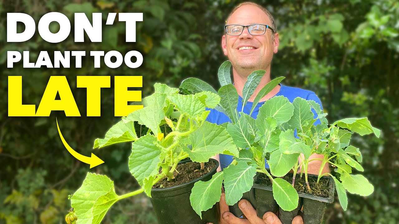 5 Crops You Can STILL Plant (Even in Late Summer) thumbnail