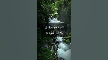 قرآن كريم بصوت هادئ وجميل  | سورة الزخرف - آية 67 إلى 70 | بدر التركي