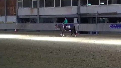 Miss Glenda Freckles DQHA Green Reining 2016 Part 1
