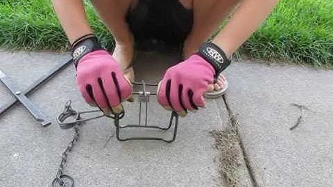 how to set a 110 conibear trap