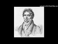Antonín Reicha - Symphony in C minor - ( 1799 - 1802 )