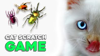 Cat Scratch Game 1hour by CatPet 9,554 views 4 years ago 1 hour, 1 minute
