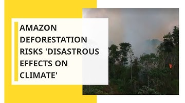 Amazon deforestation risks 