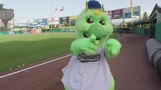 No more Skeeters: Houston Astros are renaming their Sugar Land Triple A team