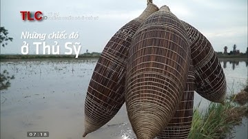 Chuyện về chiếc đó bắt cá