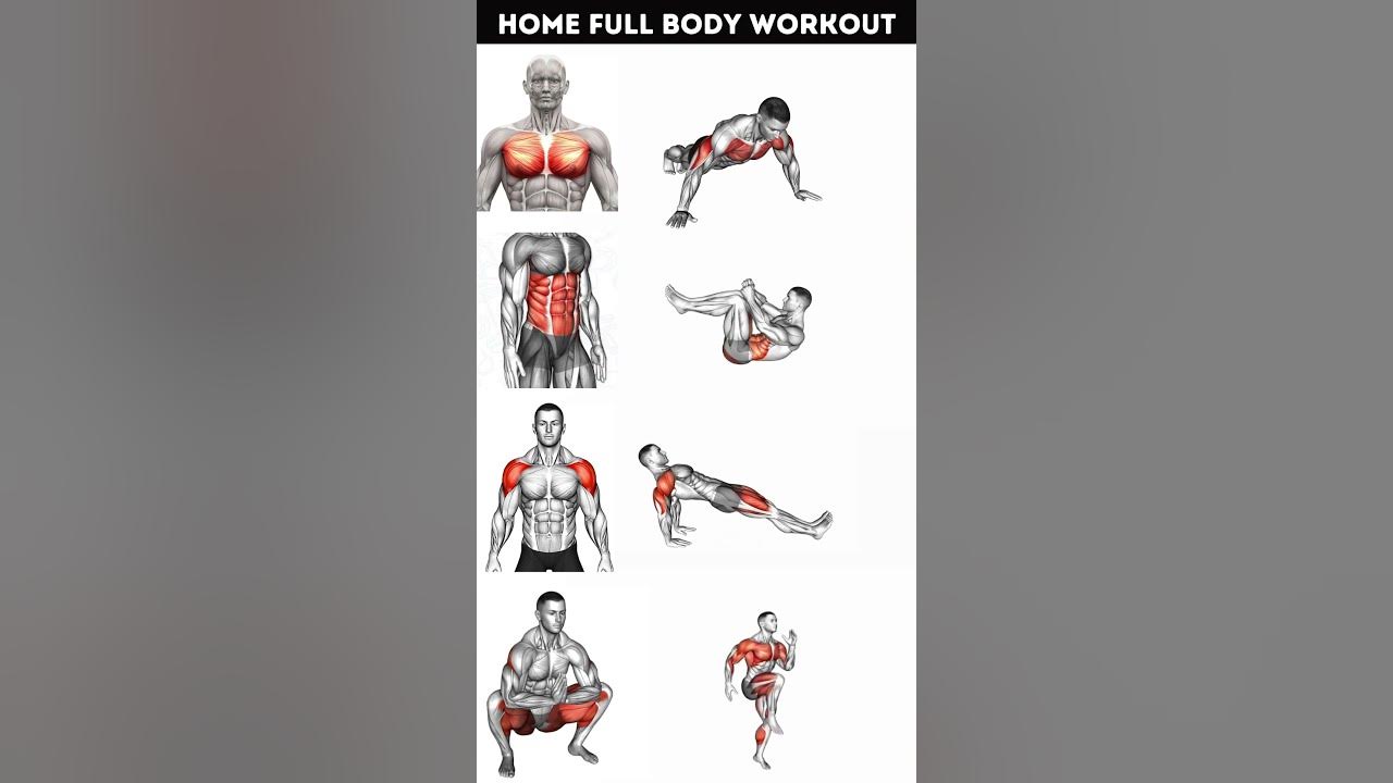full-body-home-workout-without-equipment-workout-bodyworkout