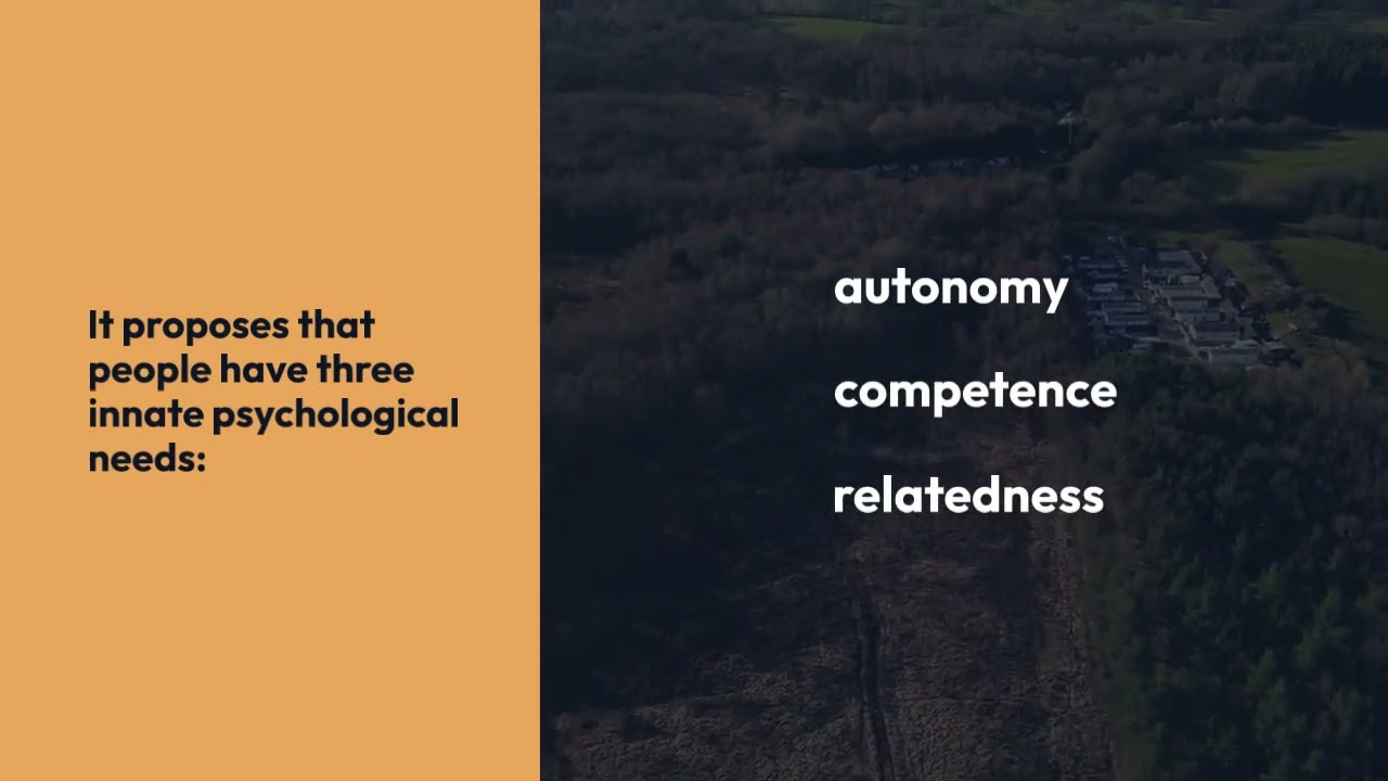 SELF-DETERMINATION THEORY