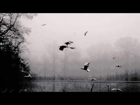 Satanic Warmaster  -  A Dead Rose for a Dying World
