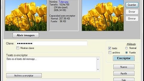 Programa para encriptar (cifrar) texto y/o archivos en imágenes [Cryptography software]