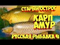 русская рыбалка 4 - Карп Амур озеро Старый Острог - рр4 фарм Алексей Майоров russian fishing 4