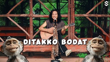 Sinnson - Ditakko Bodat (Official Lyric Video)