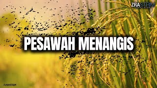 Pesawah Menangis