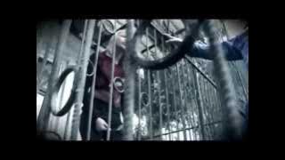 Denisa cu Modjo si Marius de la Focsani - Tu nu ma iubesti pe mine