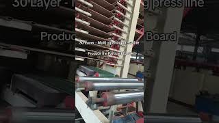 How Many Layers Does Your Multi-Opening Press Machine 30 Layer Multi-Opening Press For Mdp