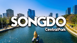 УМНЫЙ ПАРК SONGDO. ЮЖНАЯ КОРЕЯ.