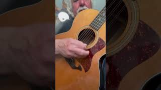 Taylor 755 1978  12 string demo