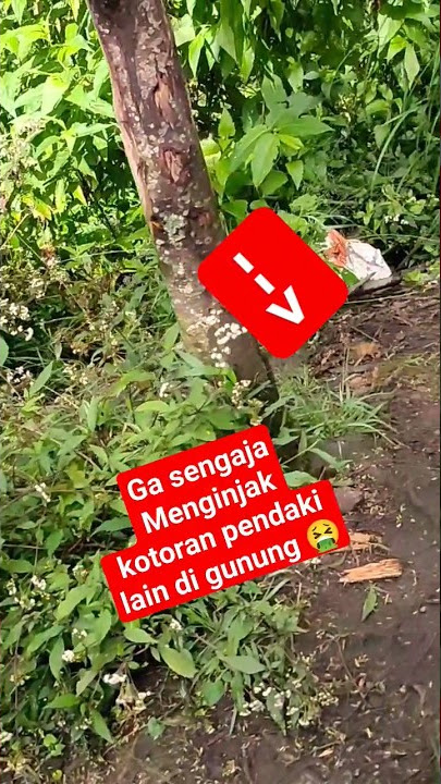 menginjak kotoran manusia di pendakian gunung sindoro karena BAB sembarangan #pendaki #sindoro