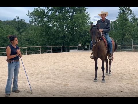 Video: Quando un cavallo si spaventa?