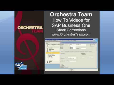 SAP Business One - How To - Stock Correction