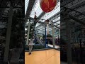 Skate ride!