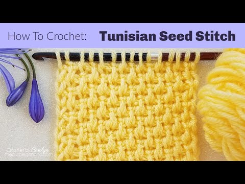 T/C Seed Stitch Training セットアップ / cootie cootie T/C SEED STITCH TRAINING TOP