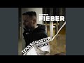 Fieber tekkschuster remix