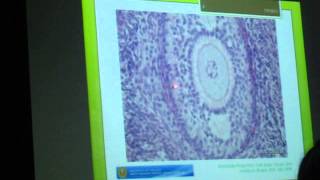 Microslide Part 2