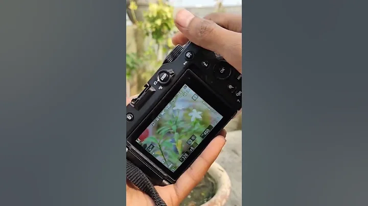 Nikon z30 mirrorles camera netural photography - DayDayNews