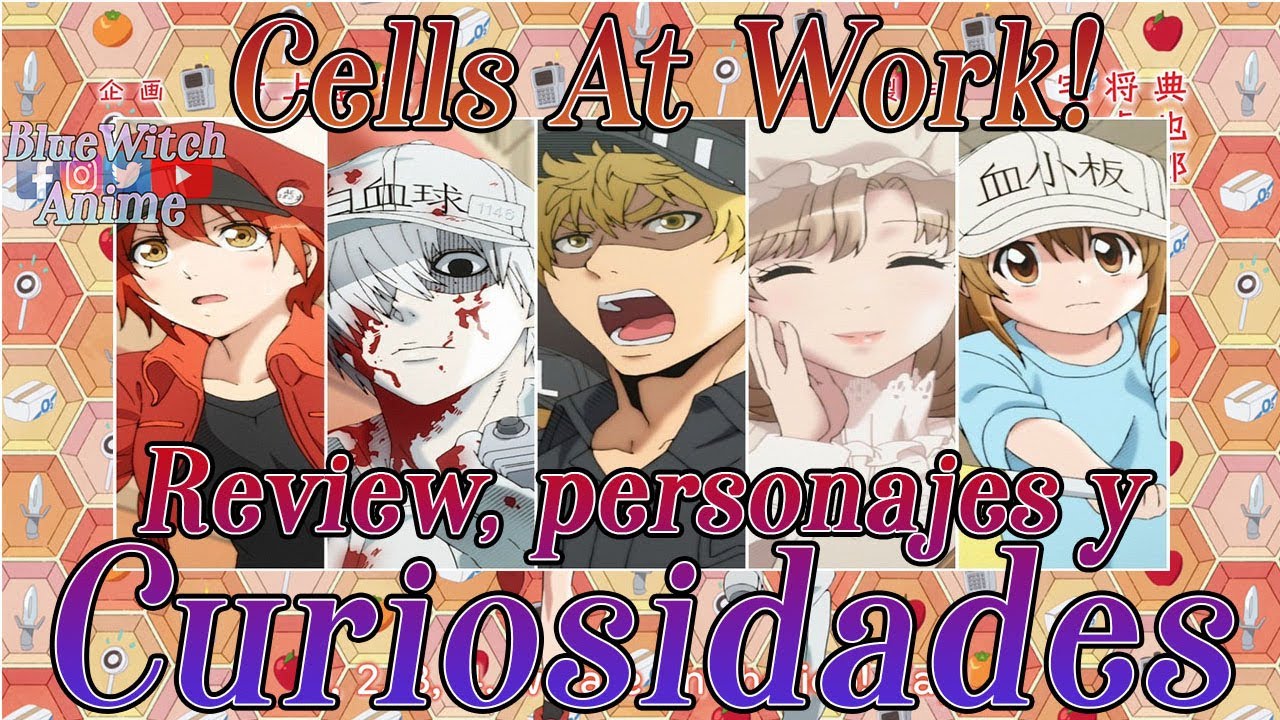 Cells at Work! (Hataraku Saibou) - Web oficial en español - Coalise Estudio