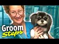 Dog Grooming Steps-How to Groom a Dog from Start to Finish (give your dog a haircut)