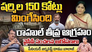 Sharmila Swallowed 150 Crores, Rahul Serious | YCP sensational Hot Comments | RED TV TELUGU