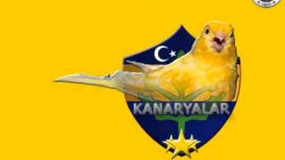 Fenerbahce - Kanaryam Resimi