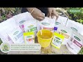 How to use katyayani all in 1 combo  hydroponic  nutrient  fertilizer fertilizerdiy