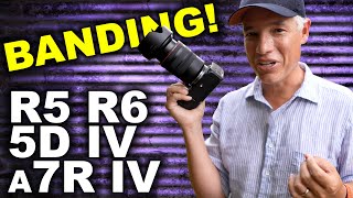 Canon EOS R5 Image Quality vs R6, R, 5D Mk IV, 5DS-R & Sony a7R IV