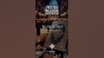 ⚜️سورة التكاثر⚜️