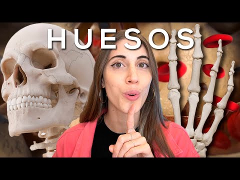 Video: ¿Cómo se hacen los huesos?