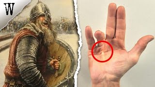 Signs of VIKING ANCESTRY You Shouldn't Ignore Resimi