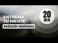 Prestar Atención • Práctica Mindfulness (20 min)