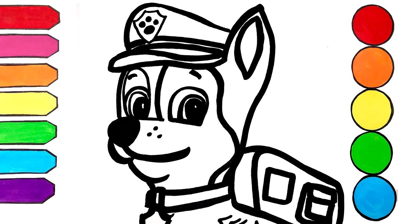 Colorindo DESENHO DA PATRULHA CANINA CHASE PAW PATROL DESENHOS PARA COLORIR  Cartoon para criança 