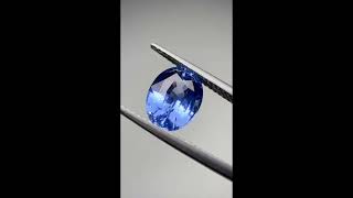 Unheated Ceylon Cornflower Blue Sapphire Ring at 3.54 carats by Kat Florence KF09743