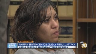 Woman convicted in fatal pit bull attack sentenced